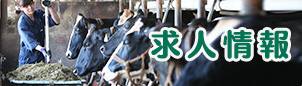 求人情報