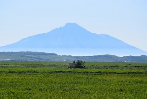 DSC_0096